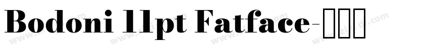 Bodoni 11pt Fatface字体转换